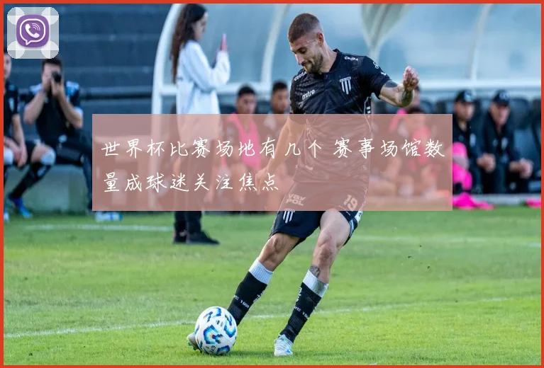 世界杯比赛场地有几个 赛事场馆数量成球迷关注焦点