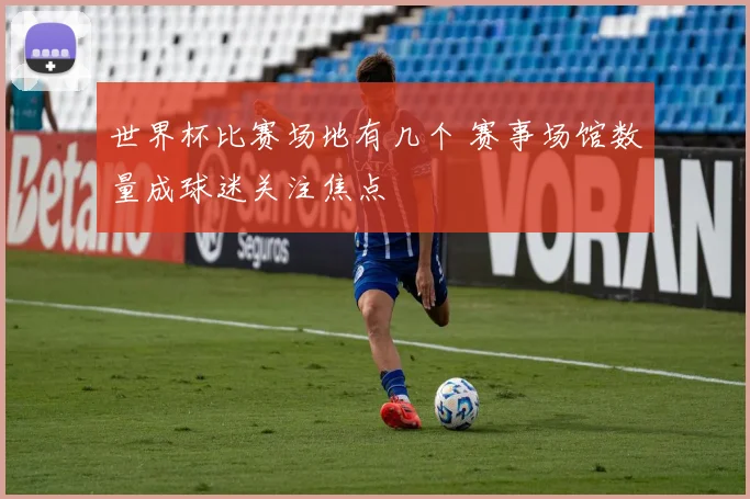 世界杯比赛场地有几个 赛事场馆数量成球迷关注焦点