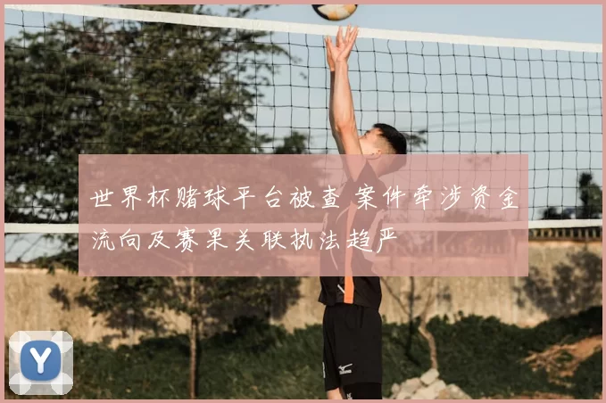 世界杯赌球平台被查 案件牵涉资金流向及赛果关联执法趋严