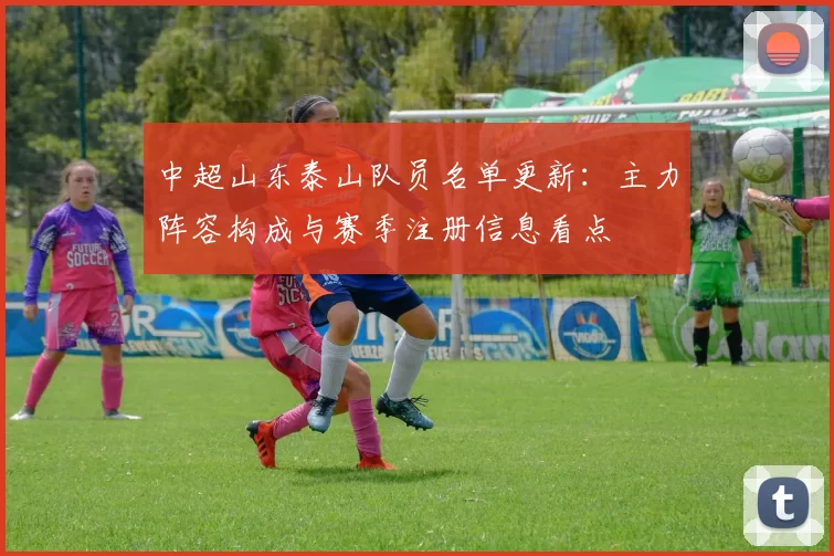 中超山东泰山队员名单更新：主力阵容构成与赛季注册信息看点