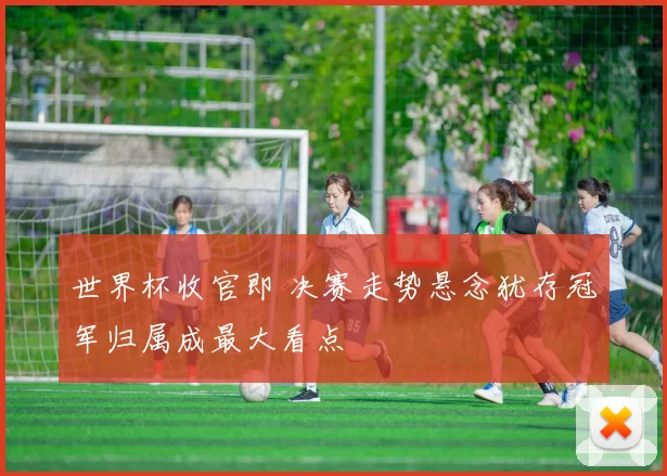 世界杯收官即 决赛走势悬念犹存冠军归属成最大看点