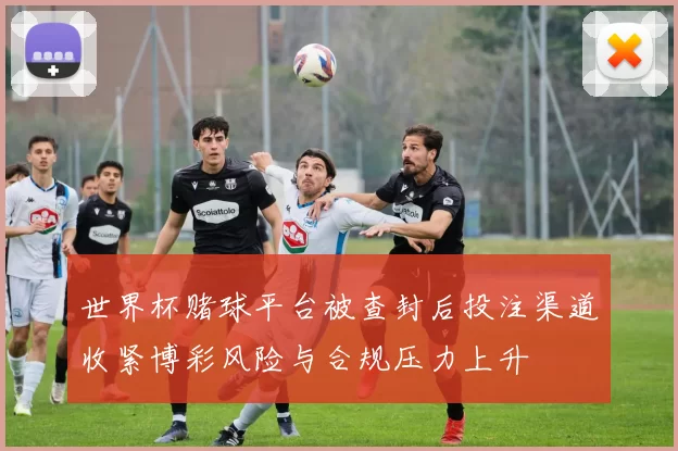 世界杯赌球平台被查封后投注渠道收紧博彩风险与合规压力上升